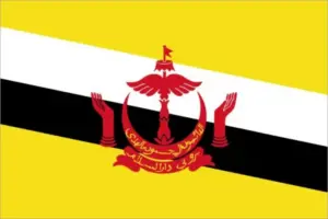 bandiera brunei