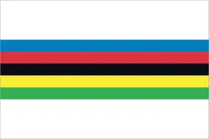bandiera campione del mondo 5 colori