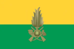 bandiera guardia di finanza