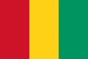 bandiera guinea