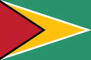 bandiera guyana