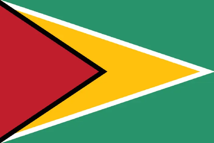 bandiera guyana