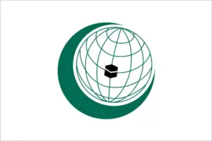 bandiera organizzazione della cooperazione islamica