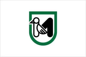 Bandiera Regione Marche