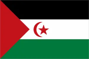 bandiera sahara occidentale