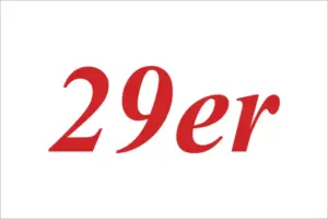 bandiera segnalazione class 29er regate
