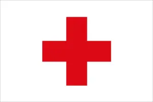 bandiera segnalazione medico regate