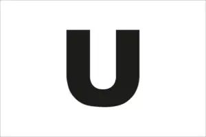 bandiera segnalazione umpire regate