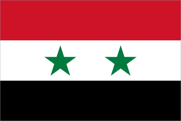 bandiera siria