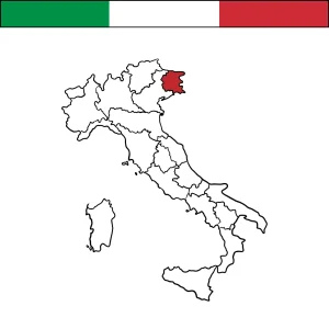 Bandiere dei comuni del Friuli Venezia Giulia