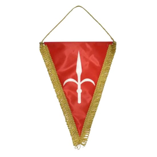 Gagliardetto Raso Personalizzabile 2 Lati - Ideale Per Loghi, Foto E Frasi - BrolloGroup - 3